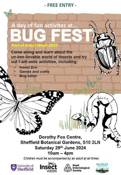 Bug Fest!