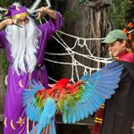 Witches and Wizards Halloween Trail 