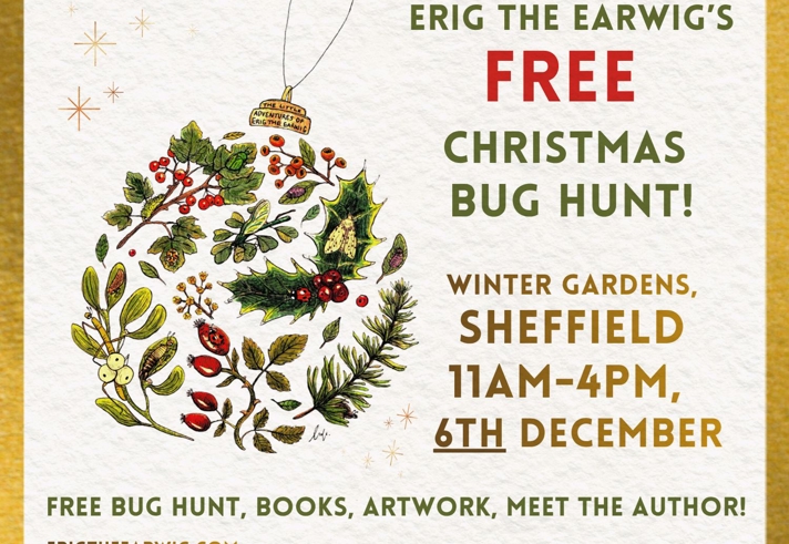 Illustrated poster for Erig the Earwig’s free Christmas Bug Hunt at Sheffield Winter Garden on 6 December, 11am–4pm, featuring festive plants, berries and insects.