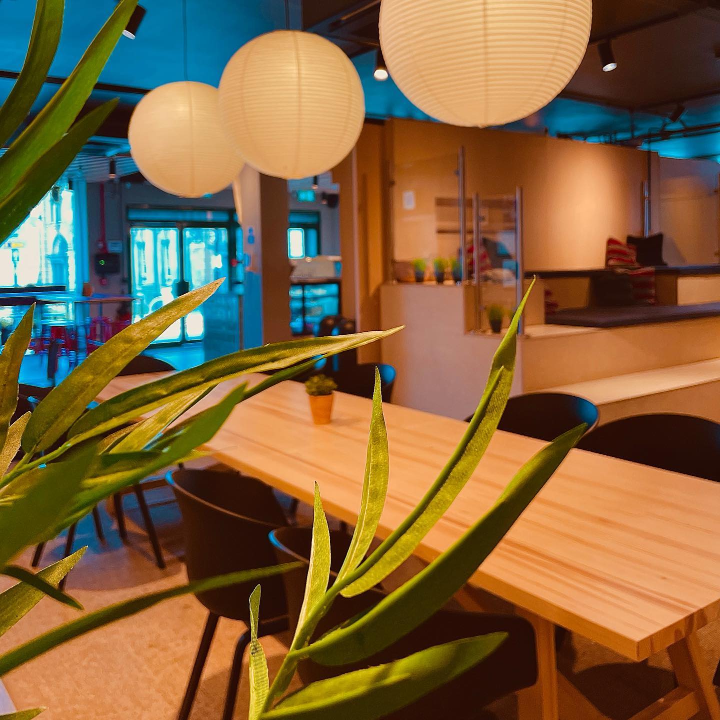 Photograph of the interior of Hygge.