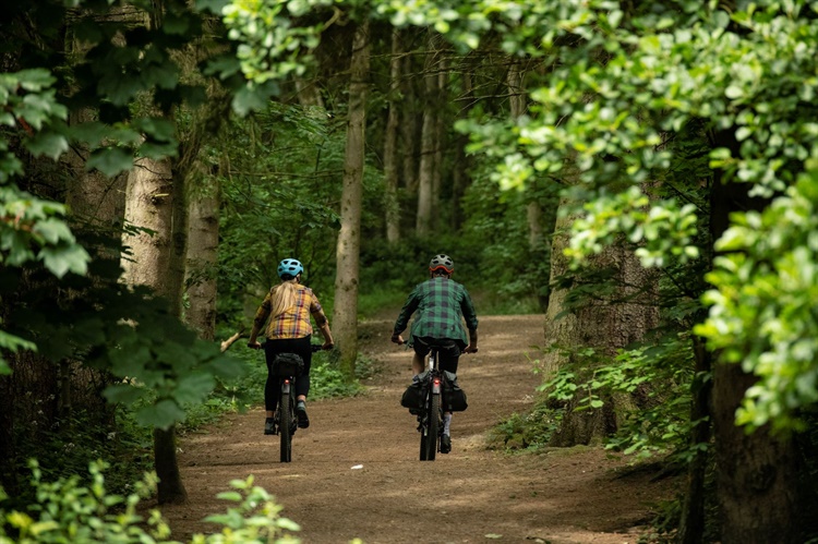 Two people cycling uphill in the leafy woods.