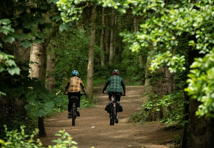 Two people cycling uphill in the leafy woods.