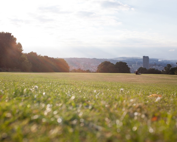 A view across a grassy field in Norfolk Heritage park, which is edged with lots of trees. In the distance you can see Sheffield city centre.