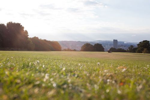 A wide grassy field in a park with sunlight casting a warm glow across the landscape. In the background, clusters of trees frame the view, and a distant city skyline with buildings and hills is visible under a bright, partly cloudy sky. The foreground shows blades of grass in soft focus, adding depth to the peaceful outdoor scene.