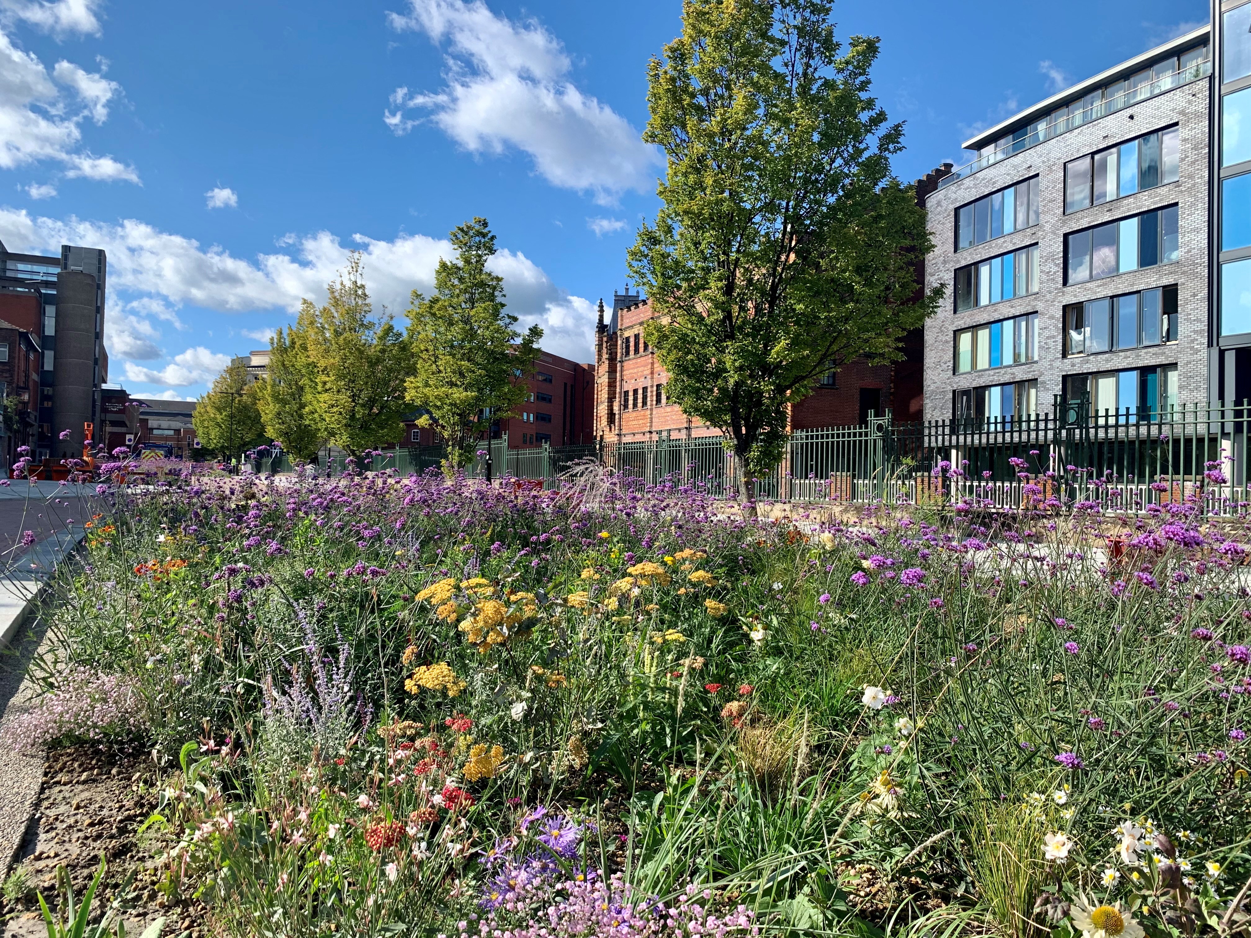 Urban streetscape featuring a vibrant wildflower planting with purple, yellow, and white blooms in the foreground. Behind the flowers, a row of trees lines the street, and modern buildings with glass and brick facades rise under a bright blue sky with scattered clouds.