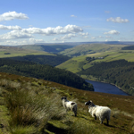 A view across the Peak District National Park.