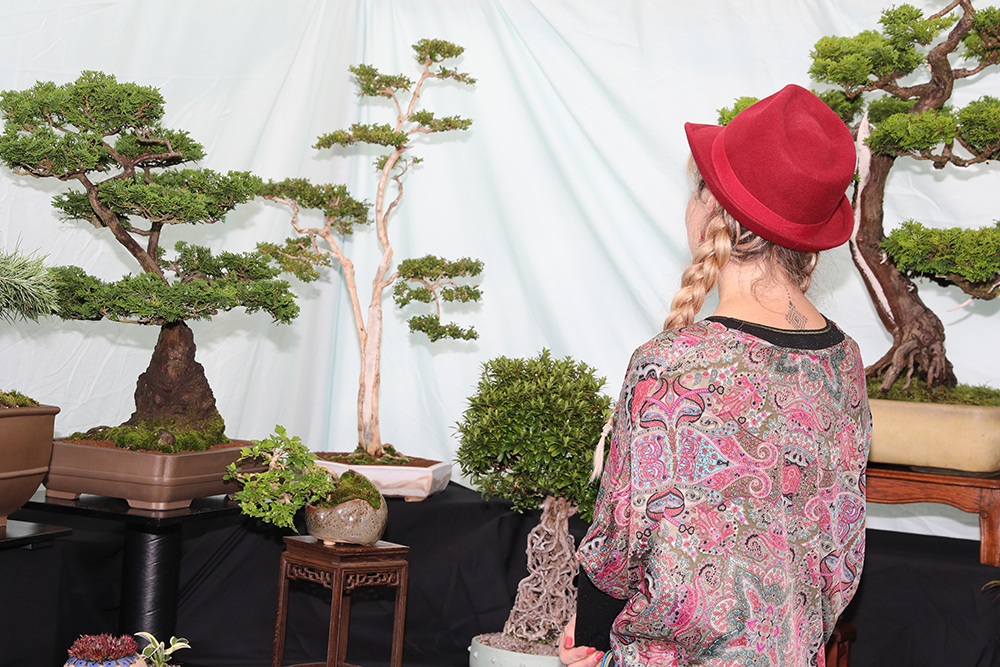 A person wearing a red hat and a patterned top with braided hair is standing indoors, facing a display of bonsai trees arranged on tables. The trees vary in size and shape, with some in rectangular pots and others in round containers. The background is a white draped fabric, and the tables are covered with black cloth. The scene suggests an exhibition or showcase of bonsai artistry.